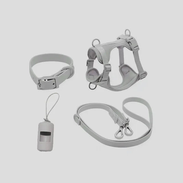 Set harnais, laisse et collier imperméables pour chien – photo 10 – Frippin'Dealz