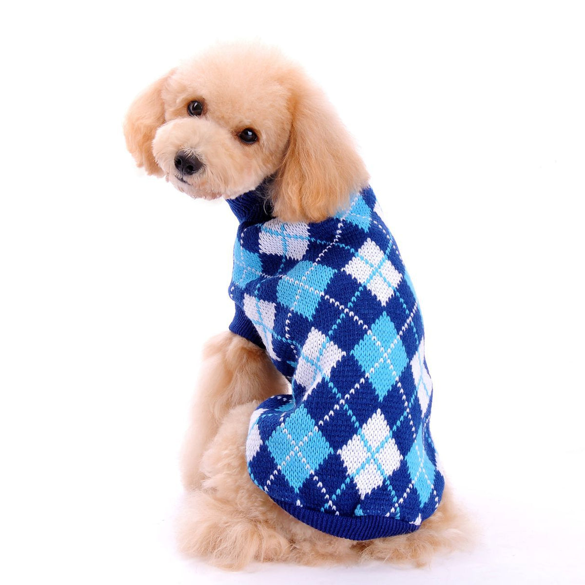 Pull pour chien col roulé motif losanges – photo 1 – Frippin'Dealz