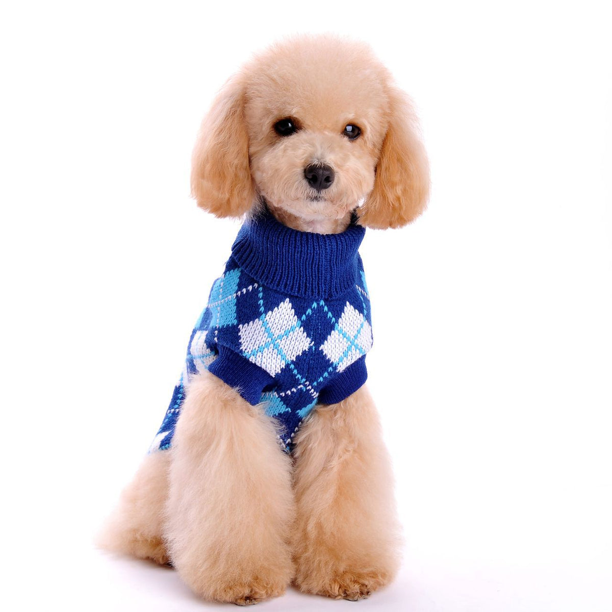 Pull pour chien col roulé motif losanges – photo 8 – Frippin'Dealz