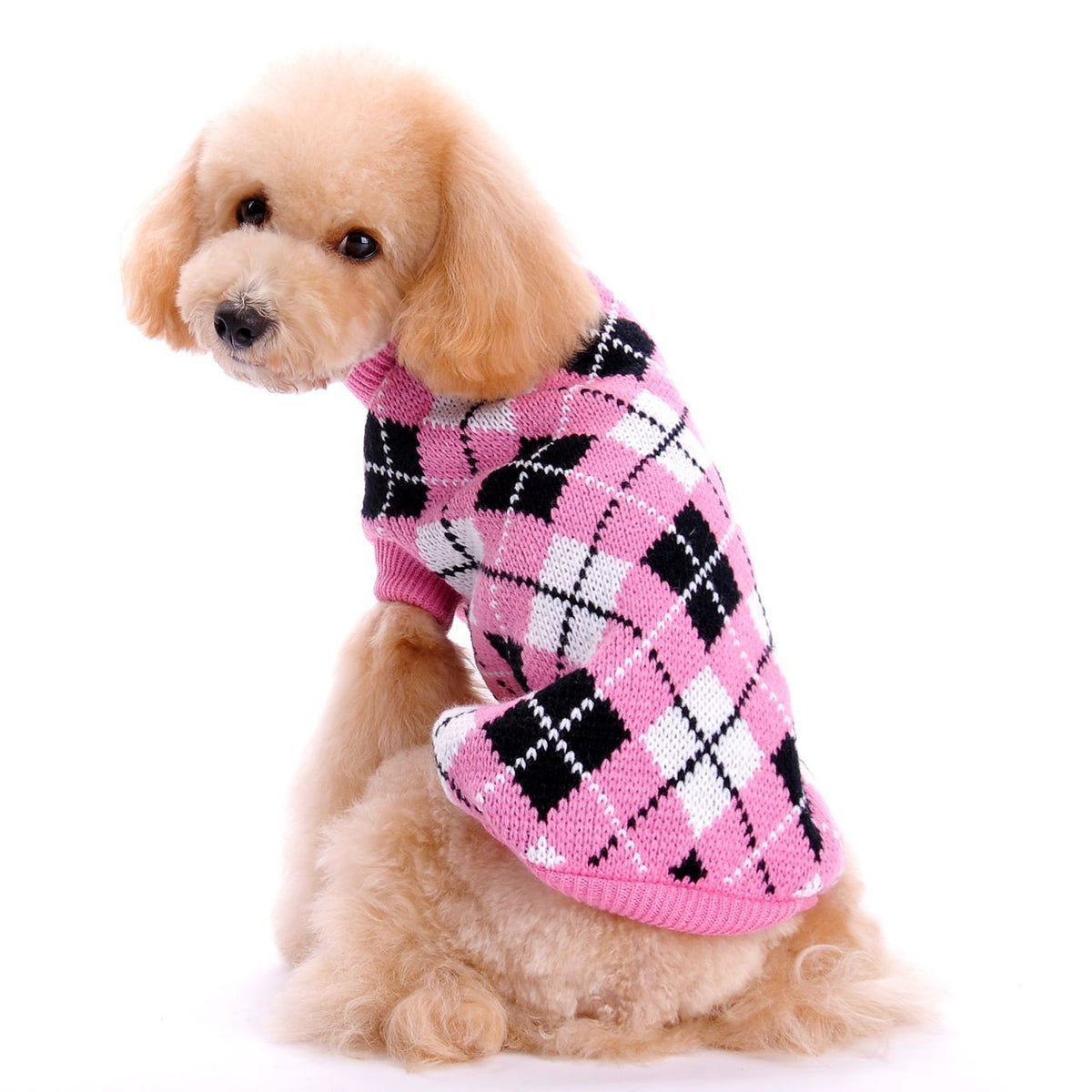Pull pour chien col roulé motif losanges – photo 2 – Frippin'Dealz
