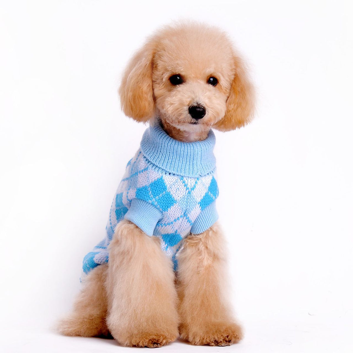 Pull pour chien col roulé motif losanges – photo 7 – Frippin'Dealz