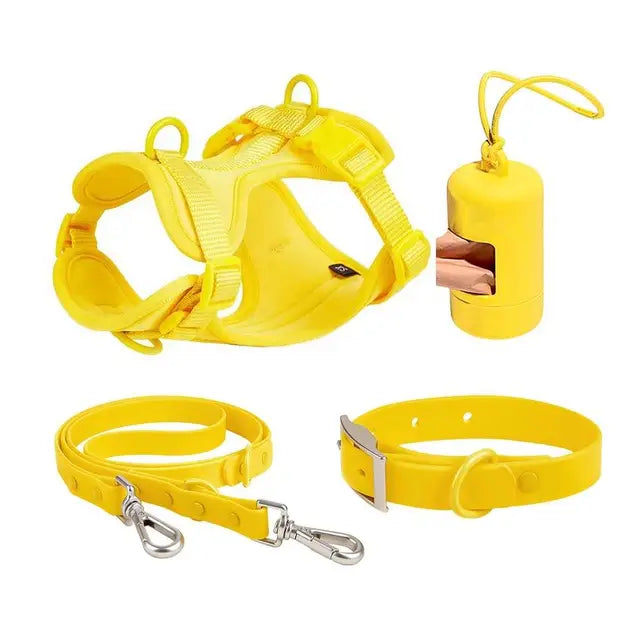 Set harnais, laisse et collier imperméables pour chien – photo 12 – Frippin'Dealz