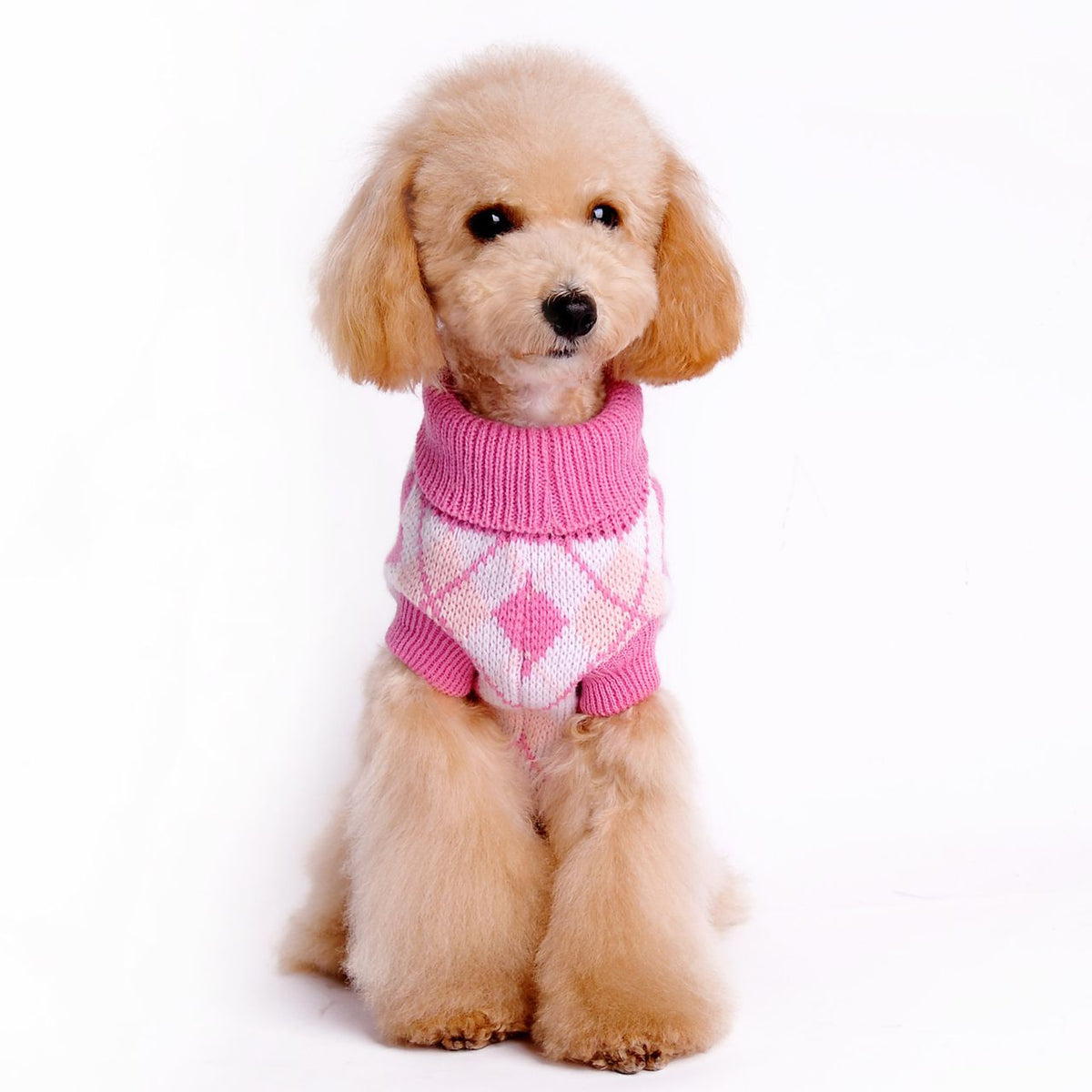 Pull pour chien col roulé motif losanges – photo 6 – Frippin'Dealz