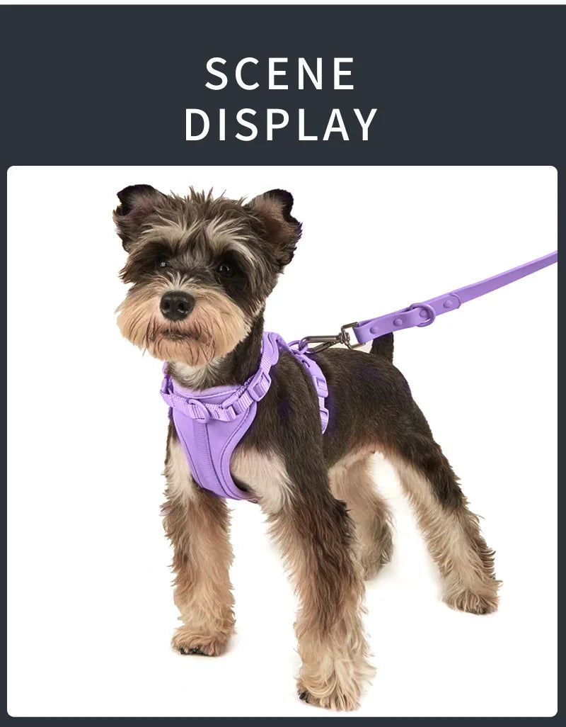 Set harnais, laisse et collier imperméables pour chien – photo 6 – Frippin'Dealz