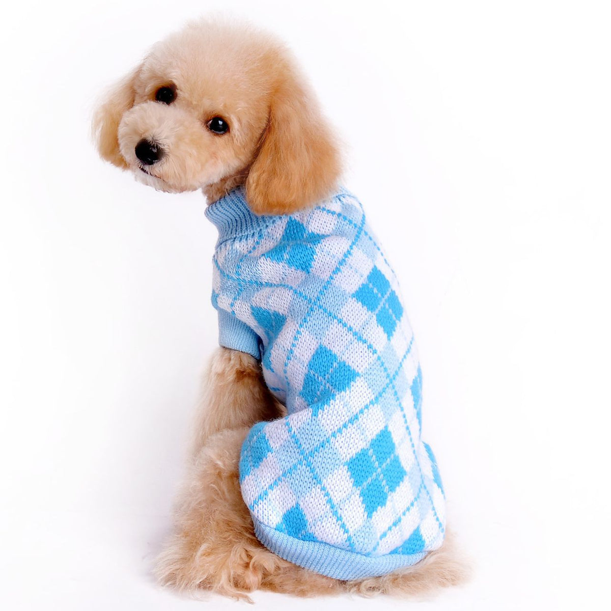 Pull pour chien col roulé motif losanges – photo 3 – Frippin'Dealz