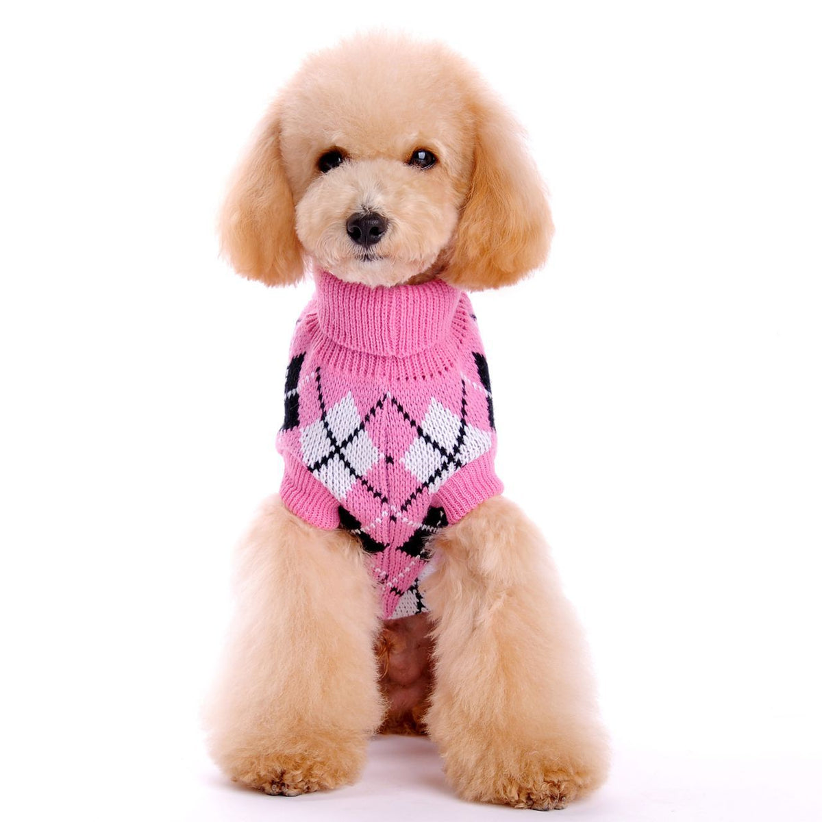 Pull pour chien col roulé motif losanges – photo 5 – Frippin'Dealz