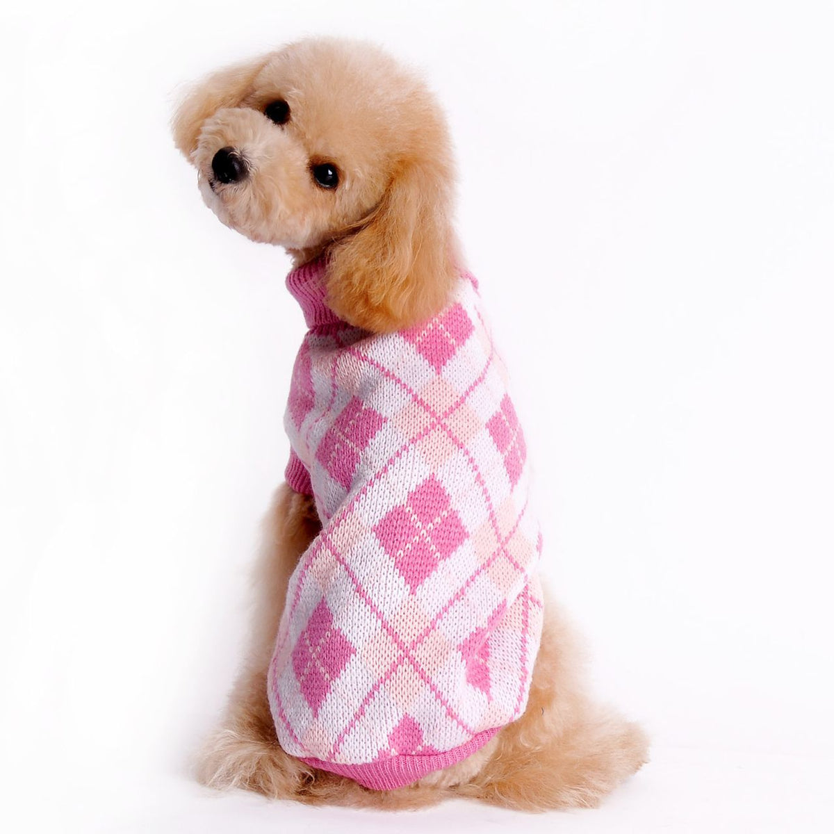 Pull pour chien col roulé motif losanges – photo 4 – Frippin'Dealz